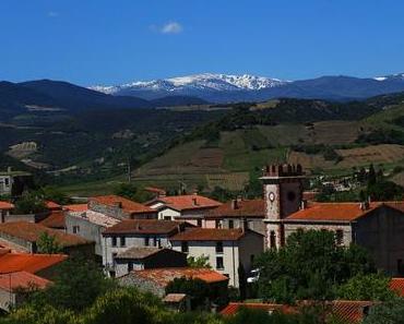 Au pied des Pyrénées et du Canigo(u), de Belesta à Maury, le Roussillon recèle un terroir magique