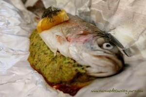 Truites aux herbes et orange en papillote_article