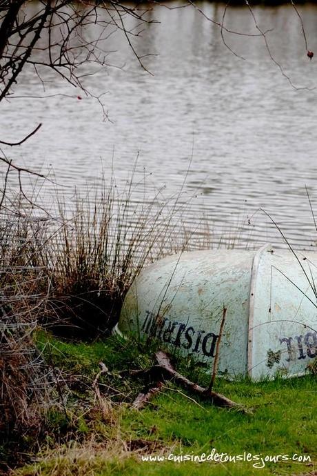 Truites aux herbes et orange en papillote Truites aux herbes et orange en papillote