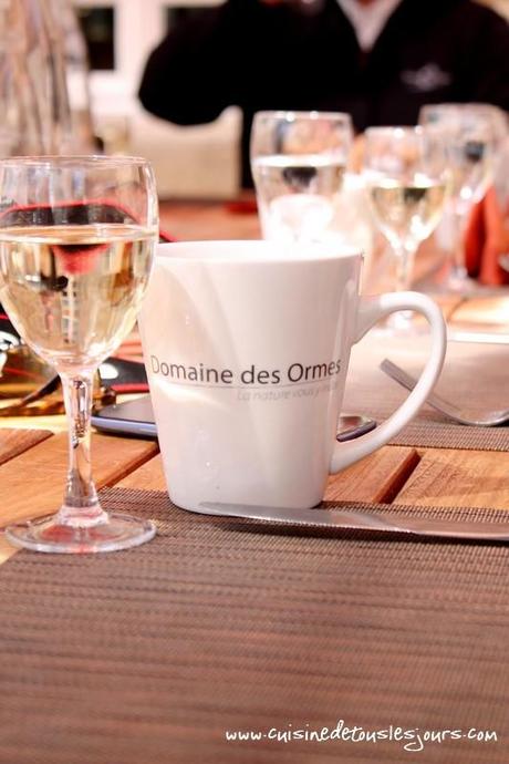 Domaine des Ormes