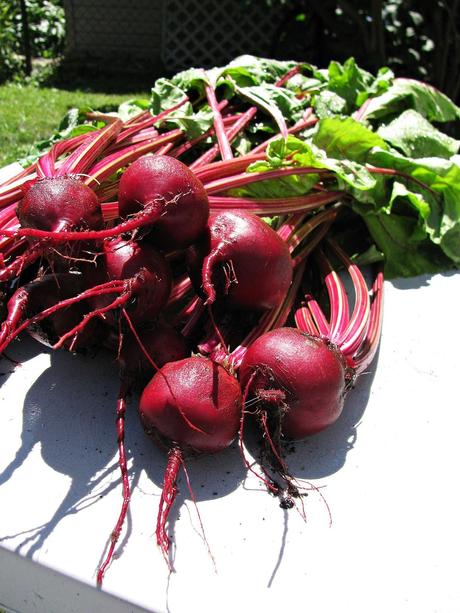 Feuilles de betteraves citronnées en pâte phyllo