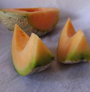melon  (3)