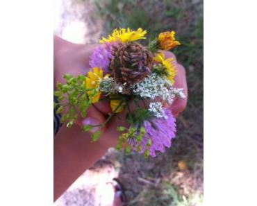 Chef toi-même à la campagne…