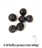 8-10 belles prunes (env 600g)