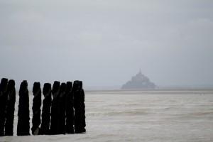 Moules de bouchots AOP de la Baie du Mont Saint Michel