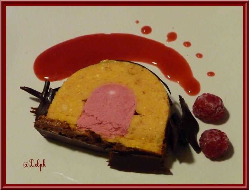 Bûche glacée Mangue Framboises