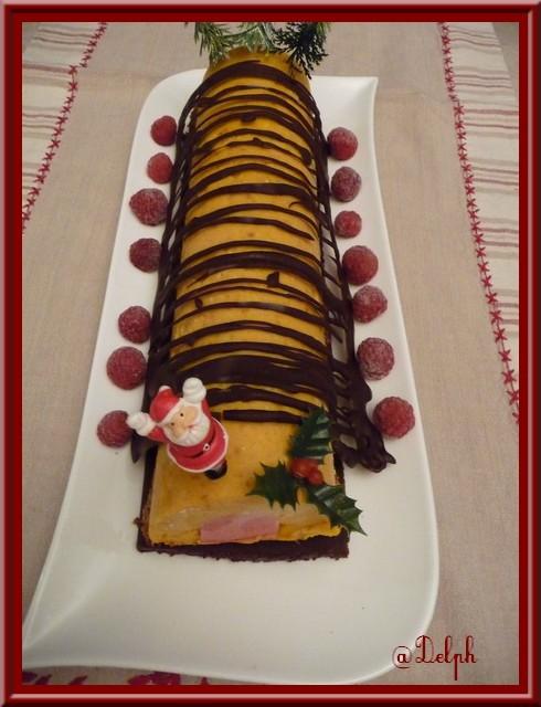 Bûche glacée Mangue Framboises