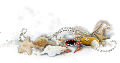 Terrine de saumon aux crevettes