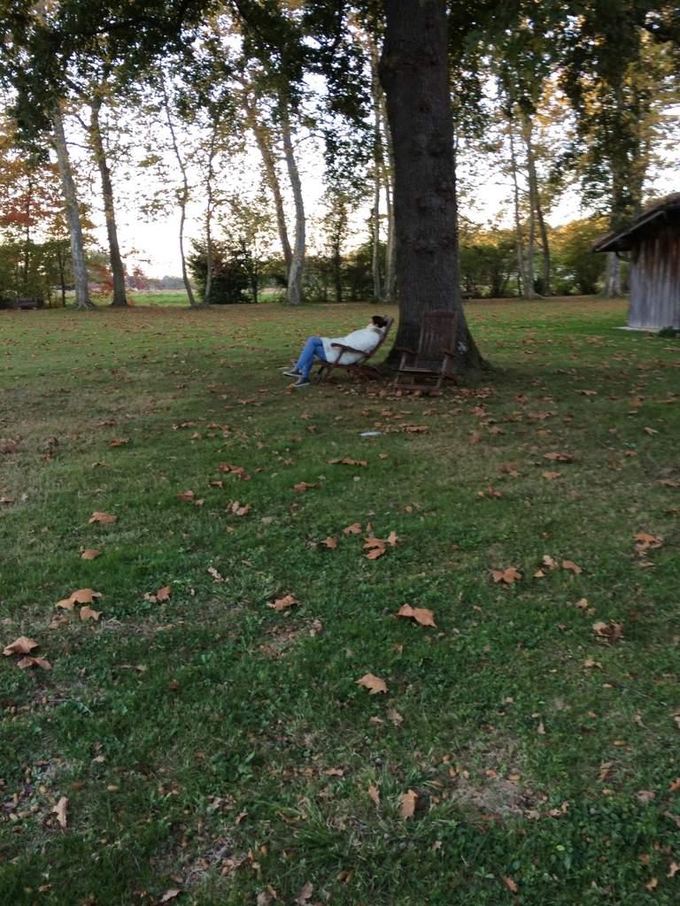 Châtaignes  au sirop de vanille ou une histoire de Grand-Mère