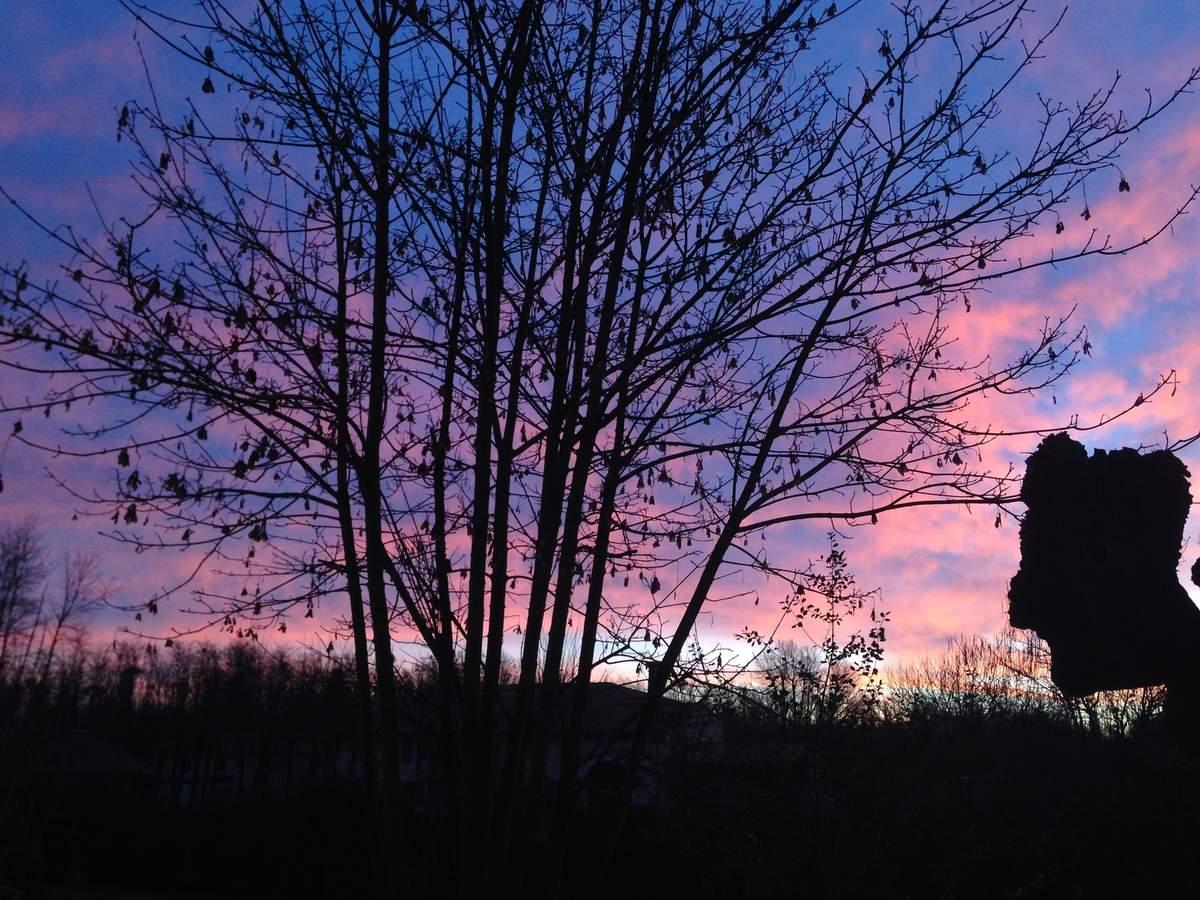 tajine de potimarron et patates douces