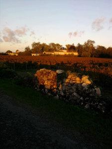 tajine de potimarron et patates douces