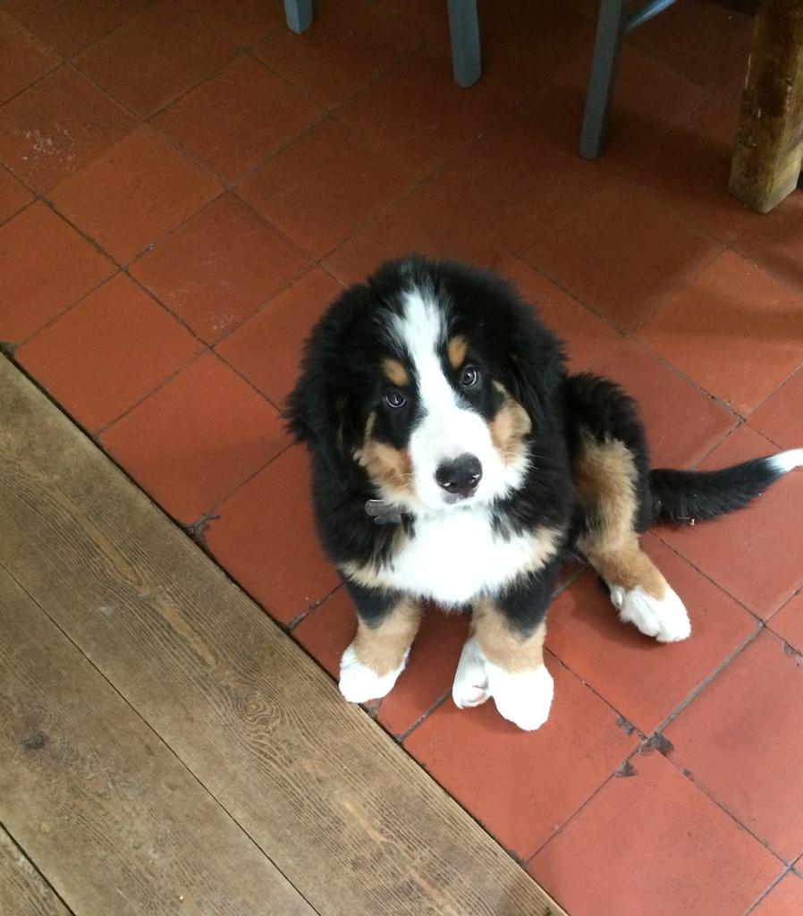 velouté d'automne et réflexions