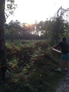 velouté d'automne et réflexions