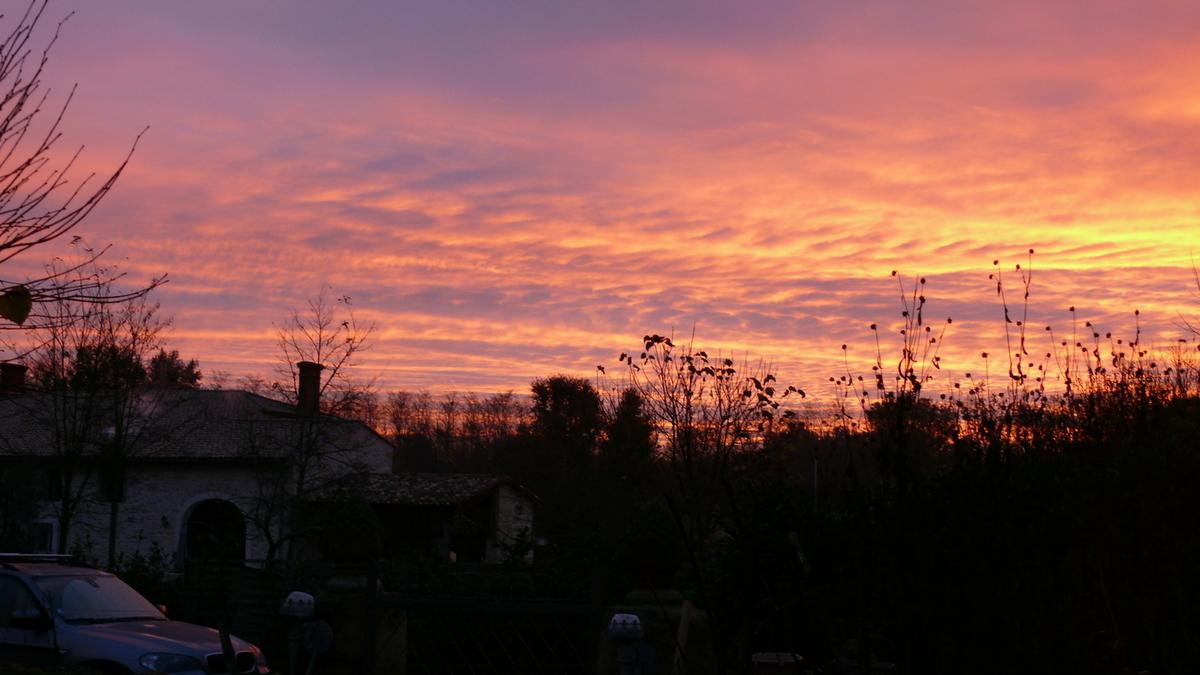 velouté d'automne et réflexions