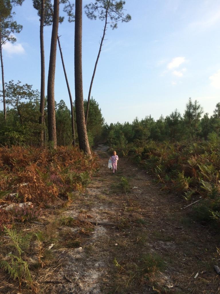 velouté d'automne et réflexions