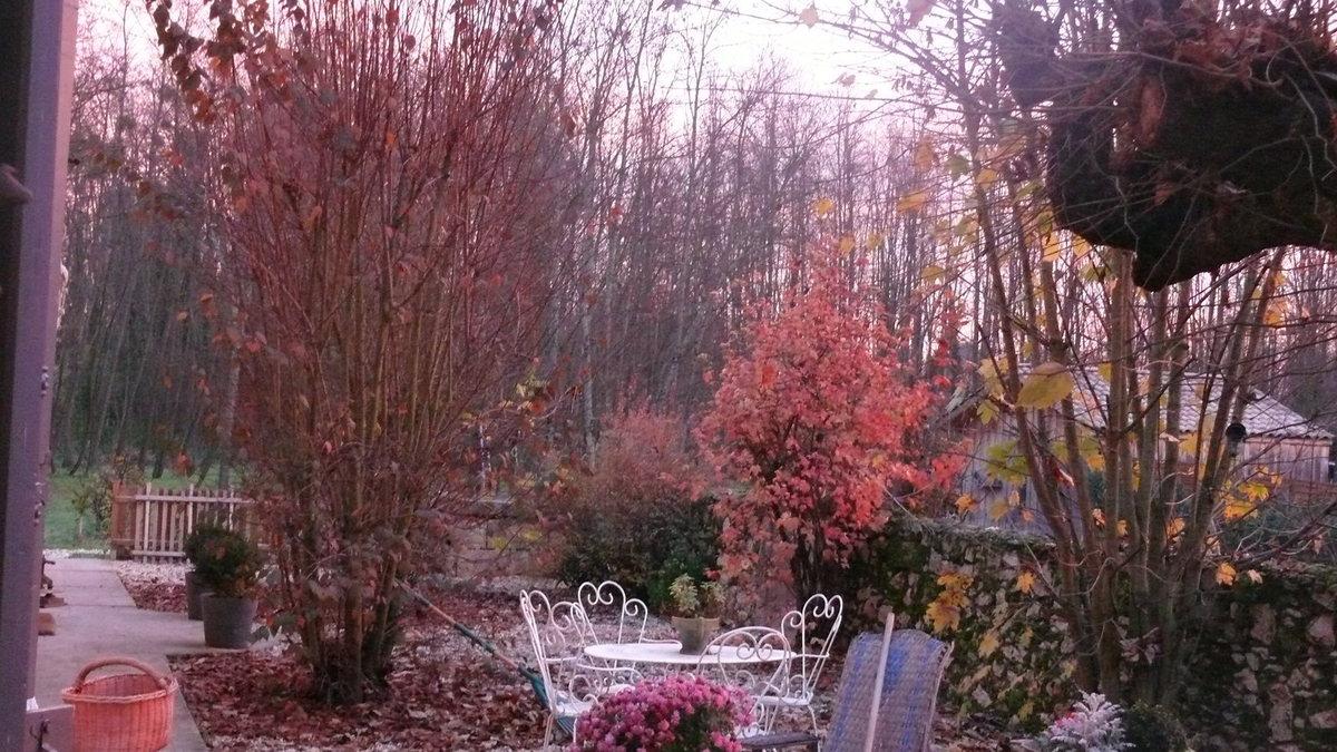 velouté d'automne et réflexions