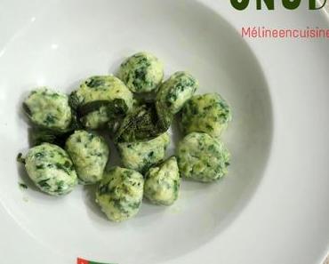 Gnudi