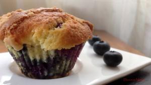 Muffins aux Myrtilles