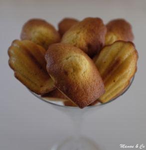 Madeleines à bosse