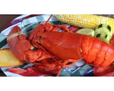 Homard et beurre aux fines herbes – Recette facile de homard