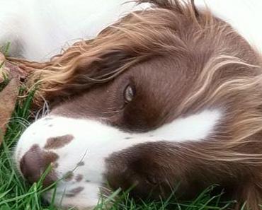 Présentation de l'association "Les ateliers de créations de Cabaline" !