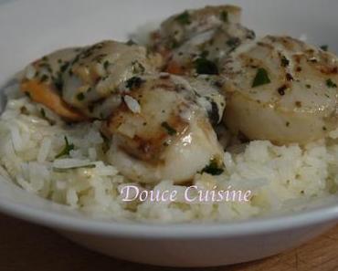 Coquilles Saint-Jacques