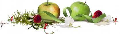 Fondant aux pommes mascarpone 