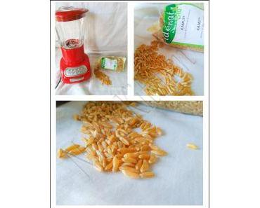 Baguettes Kamut et pâte fermentée