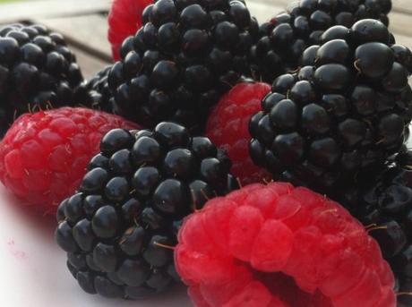 Gâteau à la vanille et fruits rouges