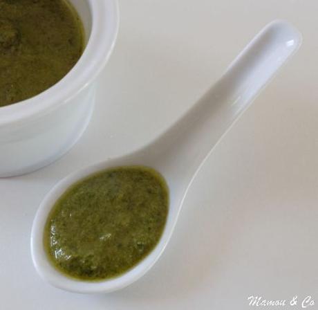 Pesto de basilic aux amandes