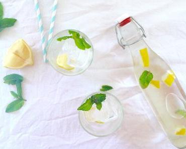 Virgin Mojito menthe-citron