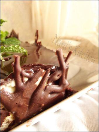 entremets menthe chocolat  (2)