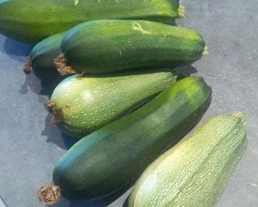 défi courgette yaourt nature