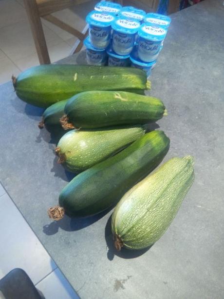 défi courgette yaourt nature