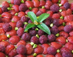 Tarte fraises & framboises