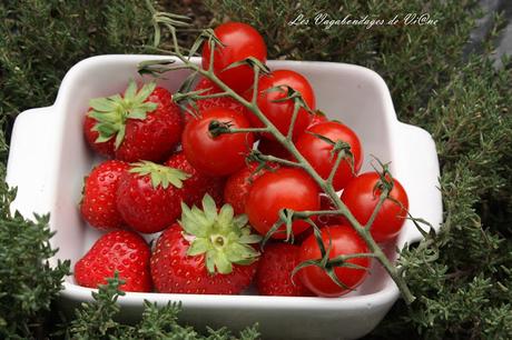 Gaspacho aux tomates cerises, fraises et anchois