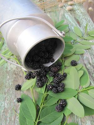 Confiture de mûres