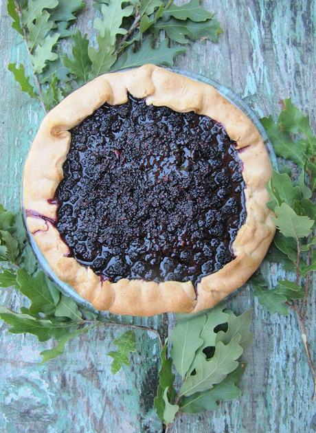 Tartes et tartelettes rustiques aux mûres