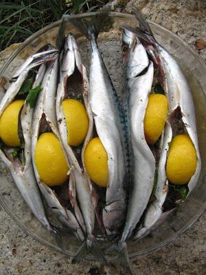 Maquereaux grillés