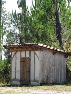 Pastis landais à Marquèze (1/2)