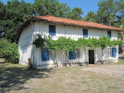 Pastis landais à Marquèze (1/2)