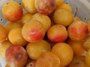 Gâteau aux mirabelles