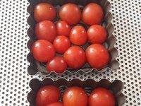 Tartelettes tatin aux tomates cerises et au caramel balsamique