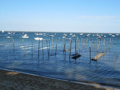 Des dunes blanches au Cap-Ferret