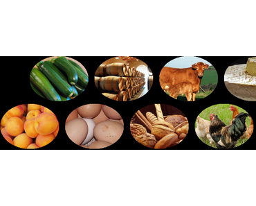 TARTE A LA MIRABELLE