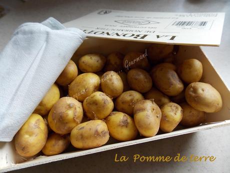 Croquettes de pommes de terre aux fines herbes