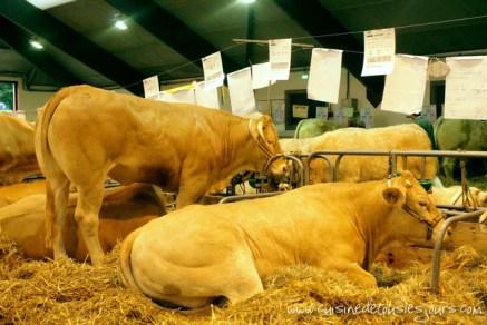 « Ohhh, la vache ! » a récompensé des producteurs et de bons produits fermiers…