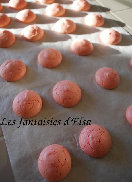 Macarons (à la meringue française)