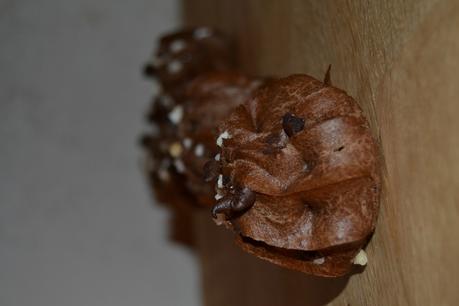 Chouquettes au cacao, escapades en cuisine novembre 2015