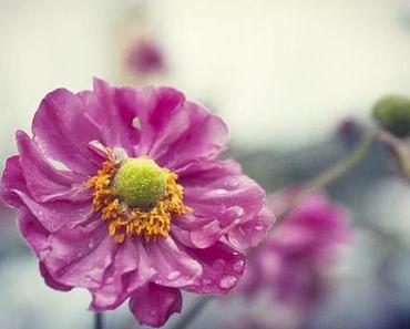 Ma rétrospective de 2015 en quelques événements bien gourmands !